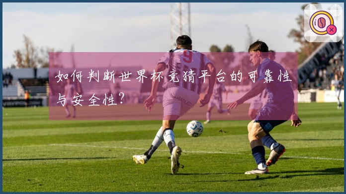 如何判断世界杯竞猜平台的可靠性与安全性？