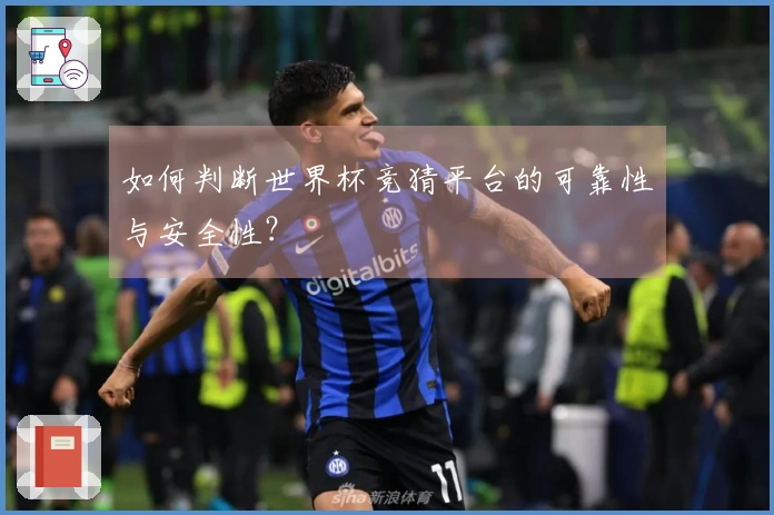 如何判断世界杯竞猜平台的可靠性与安全性？