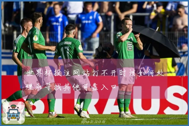 世界杯投注网站打不开时该如何处理和寻找其他可靠入口